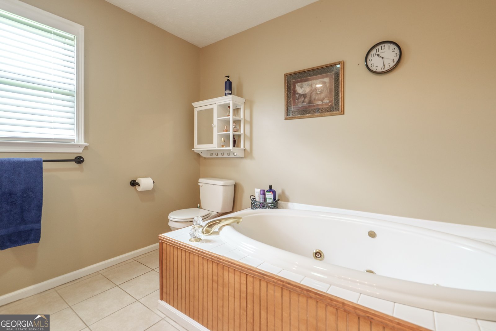 2070 Walter Shepherd Road Rutledge - 39