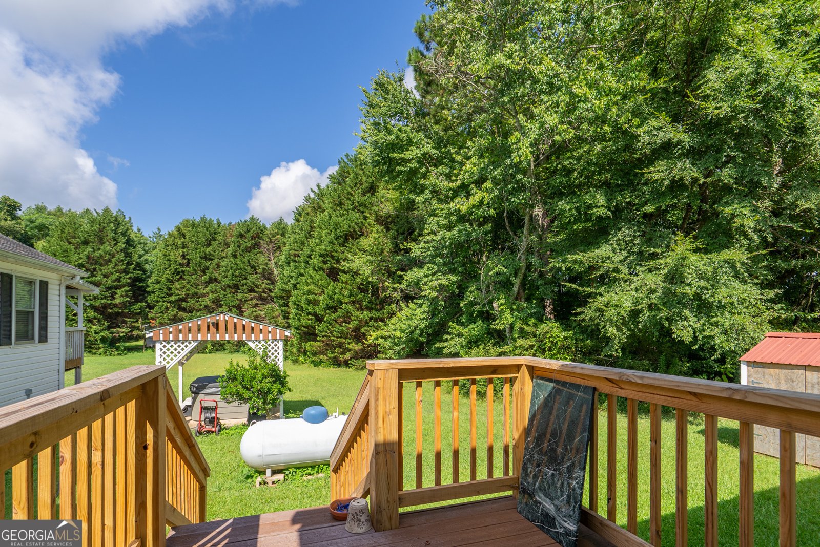 2070 Walter Shepherd Road Rutledge - 63