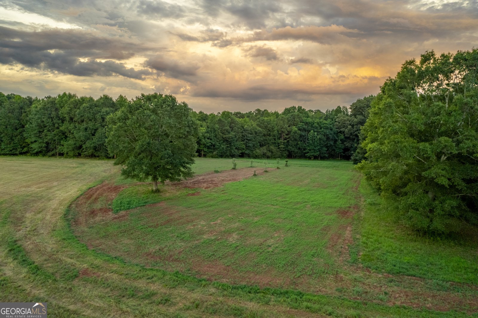 2070 Walter Shepherd Road Rutledge - 73