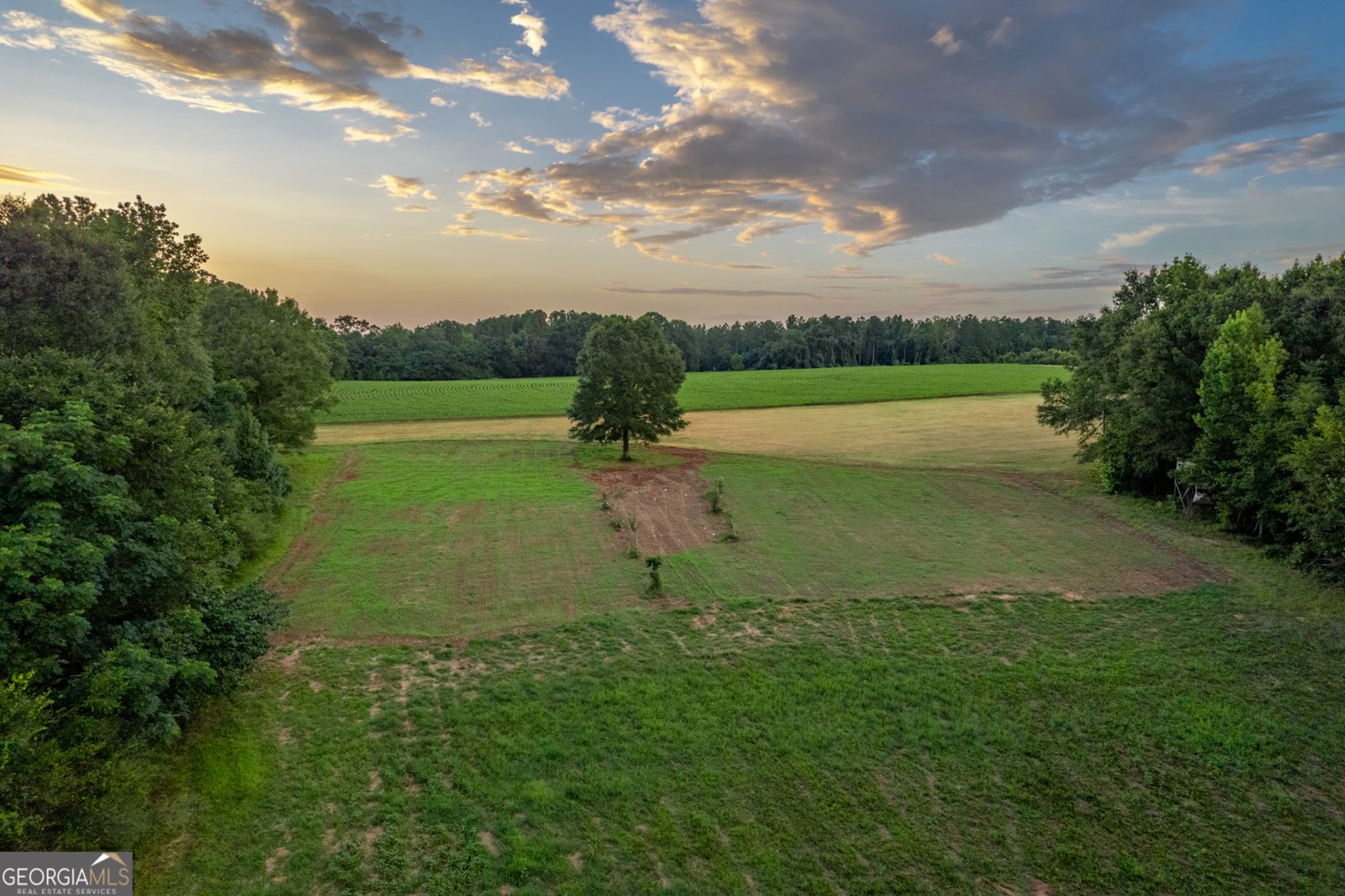 2070 Walter Shepherd Road Rutledge - 74