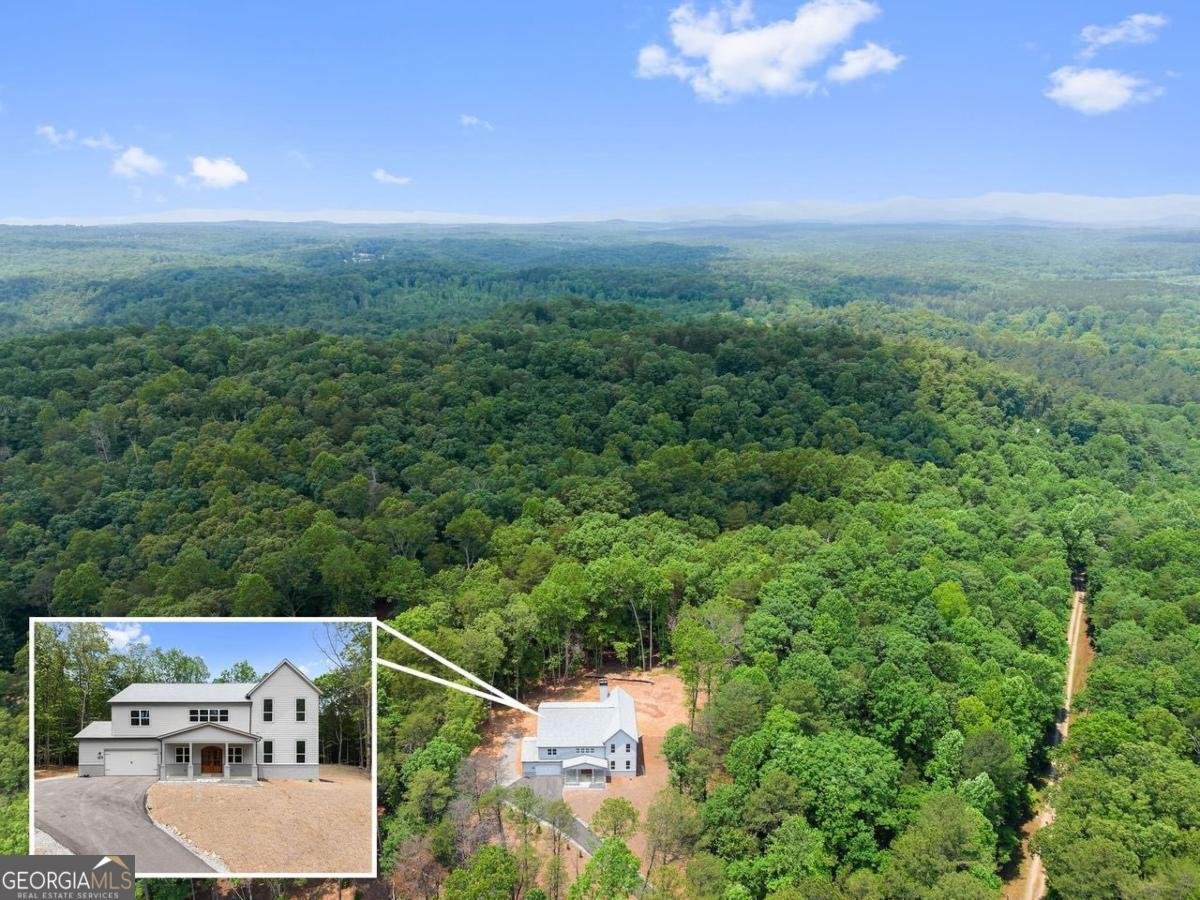 305 Etowah Cove Road Dahlonega - 3