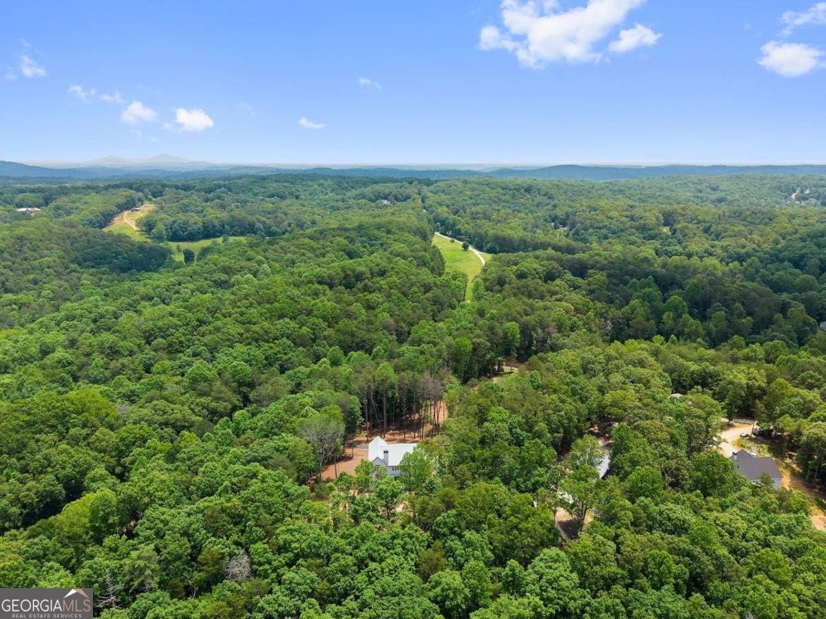 305 Etowah Cove Road Dahlonega - 42