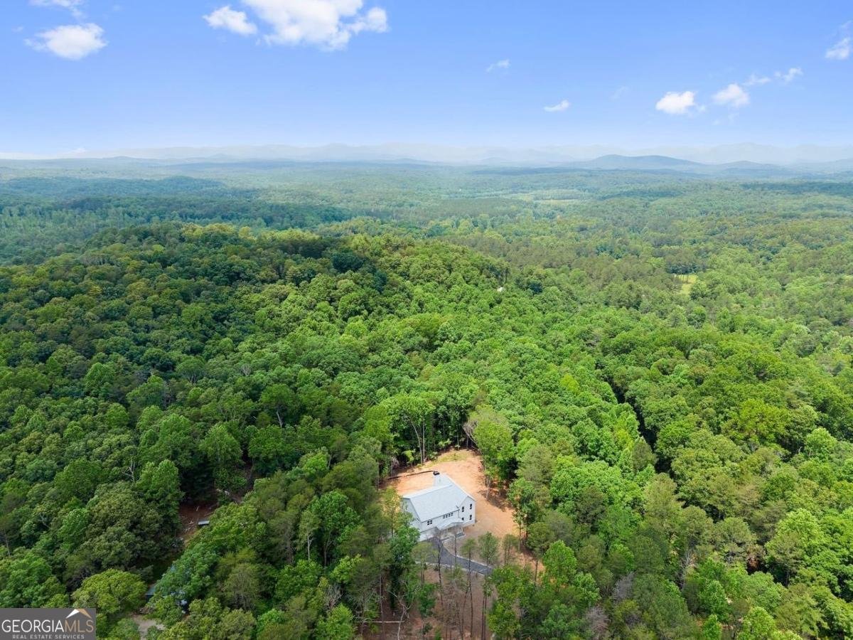 305 Etowah Cove Road Dahlonega - 43