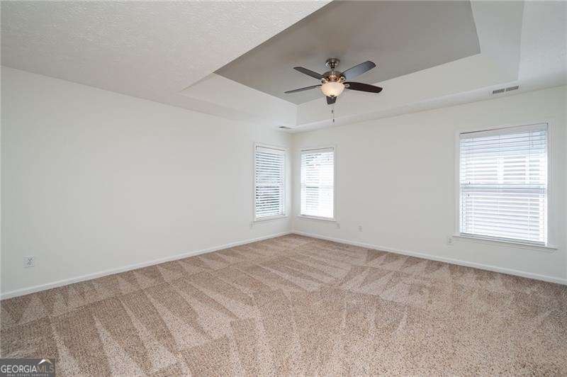 263 Springs Crossing Canton - 24