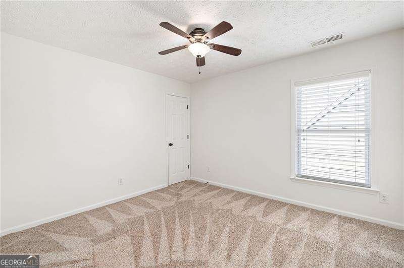 263 Springs Crossing Canton - 30