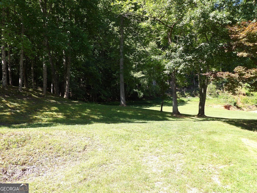 795 Sunnyside Road Hiawassee - 2