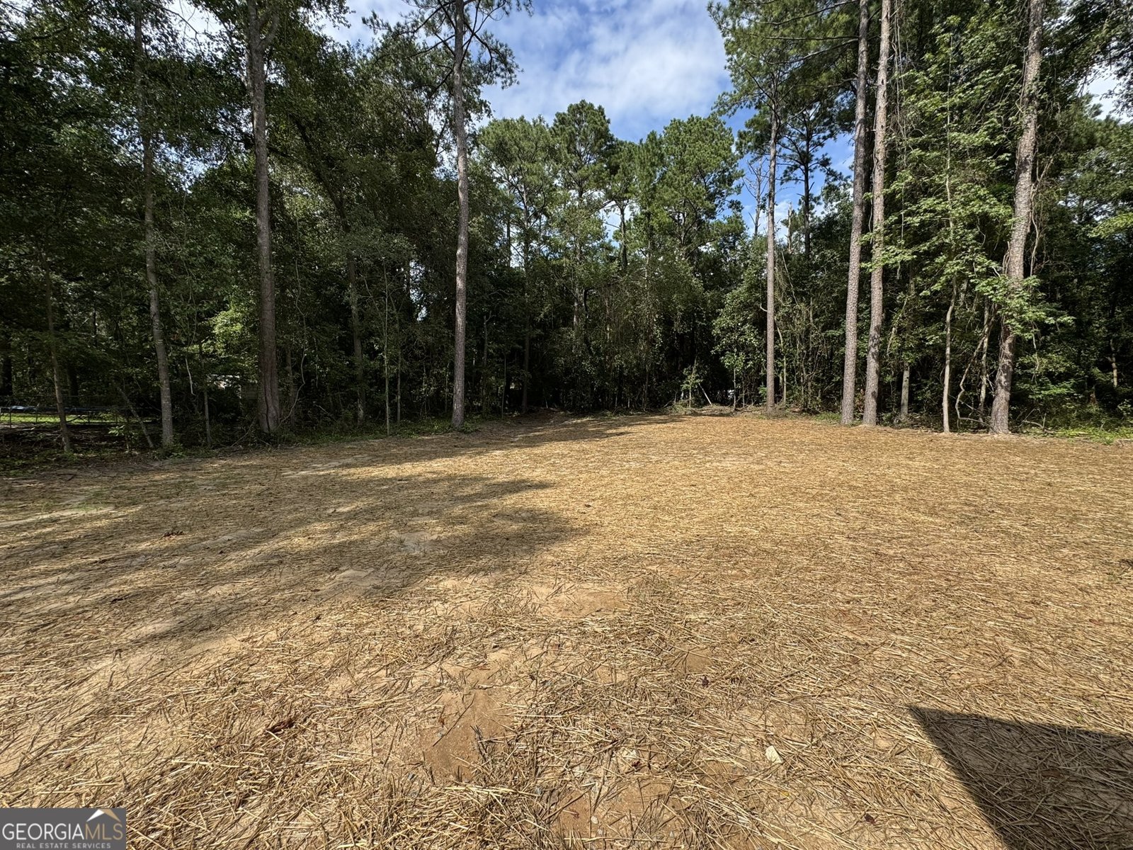 134 Country World Drive Macon - 37