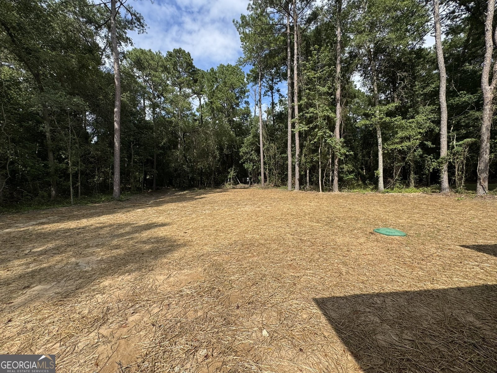 134 Country World Drive Macon - 46