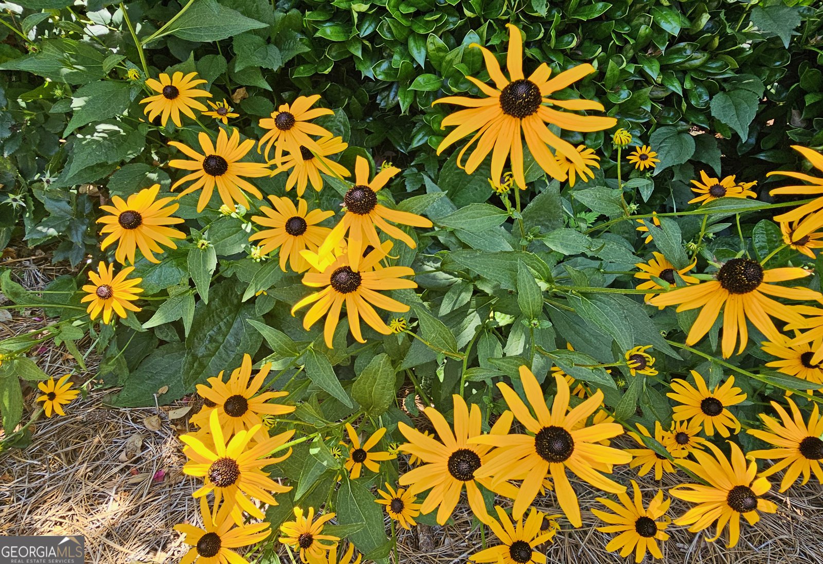 1735 Peachtree Street Atlanta - 48