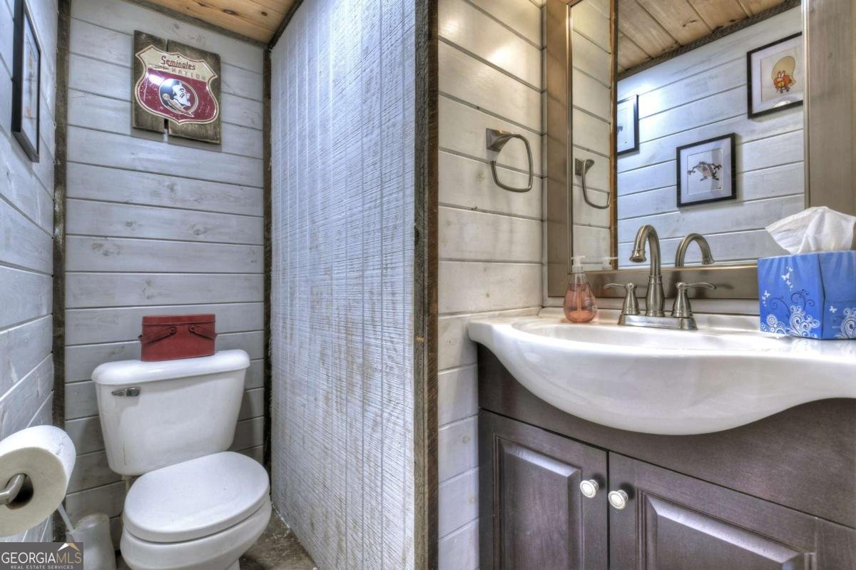 241 Dunn Mill Creek Road Blue Ridge - 28