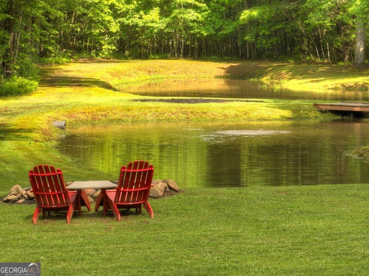 241 Dunn Mill Creek Road Blue Ridge - 55