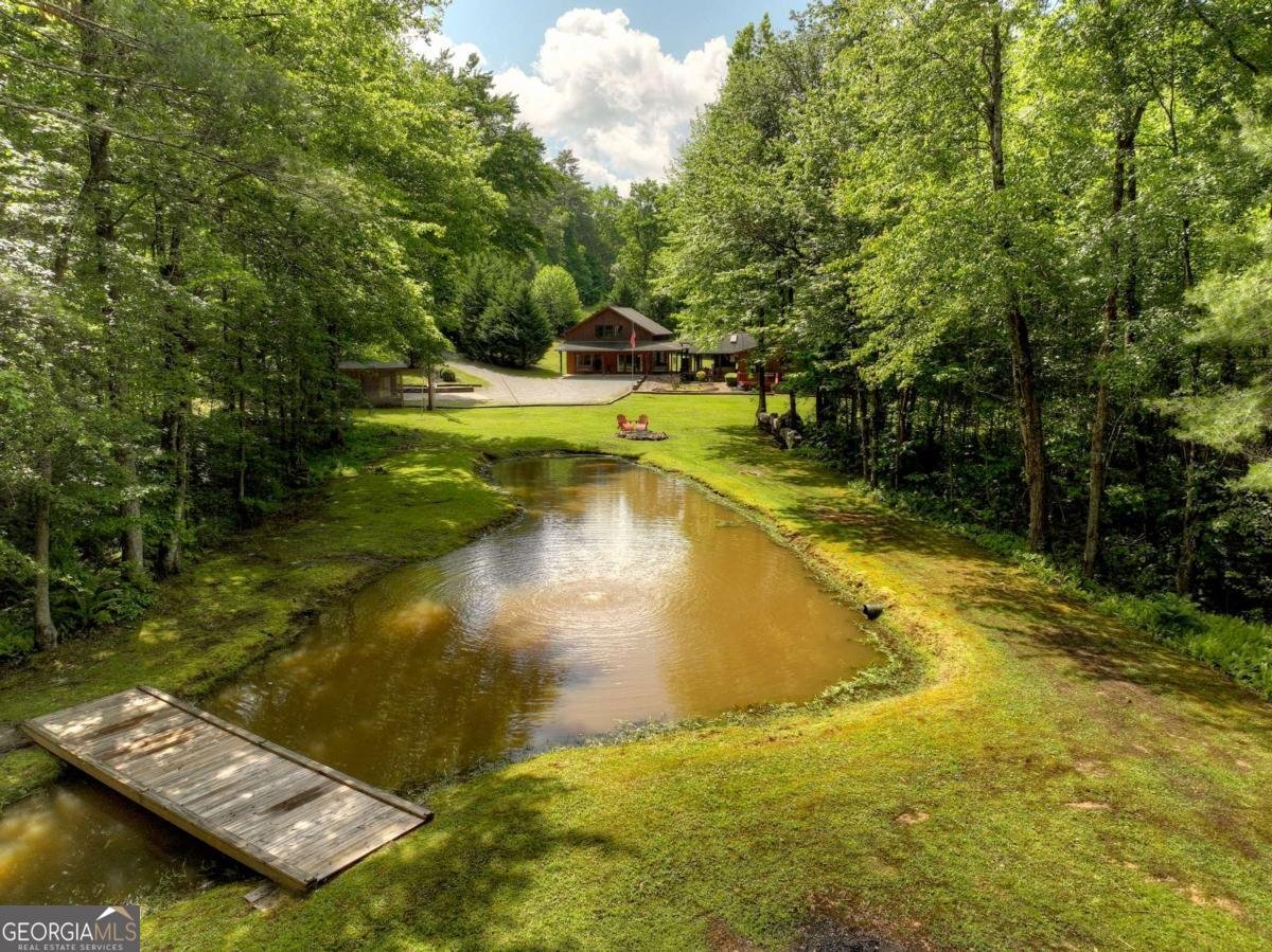 241 Dunn Mill Creek Road Blue Ridge - 57