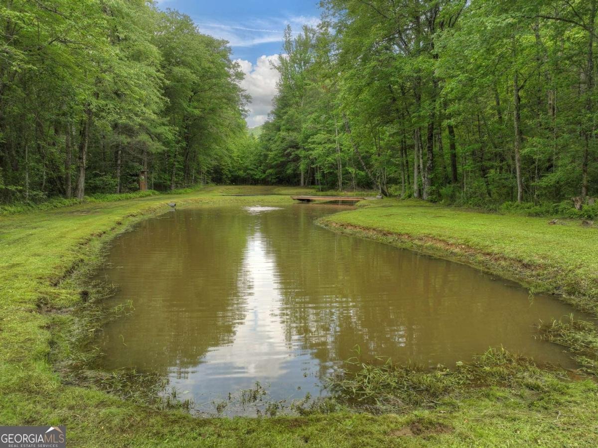 241 Dunn Mill Creek Road Blue Ridge - 58