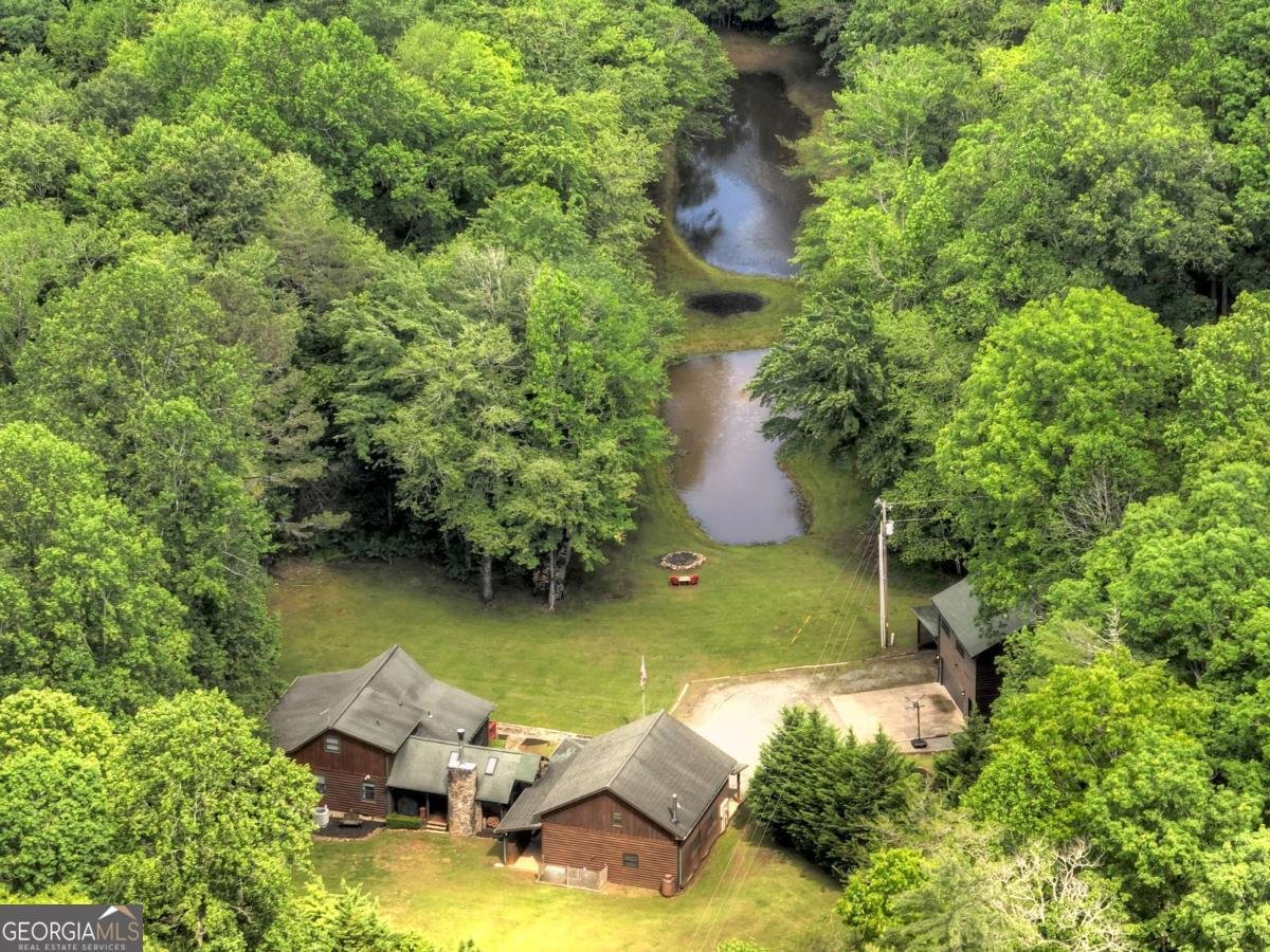 241 Dunn Mill Creek Road Blue Ridge - 59