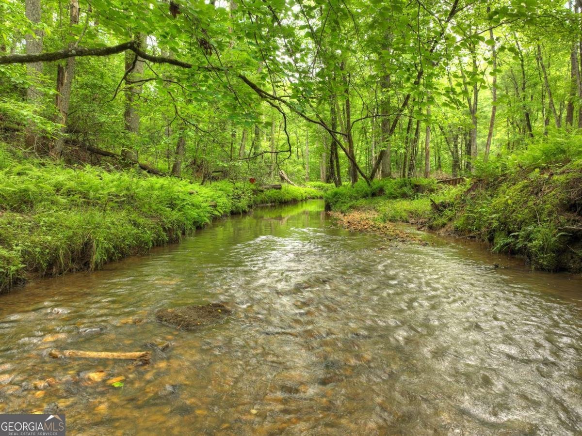 241 Dunn Mill Creek Road Blue Ridge - 67