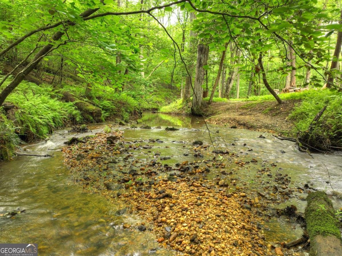 241 Dunn Mill Creek Road Blue Ridge - 68