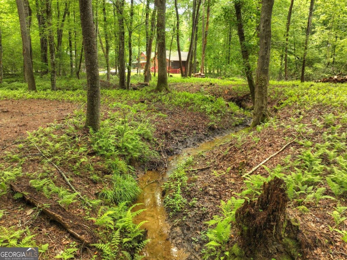 241 Dunn Mill Creek Road Blue Ridge - 69