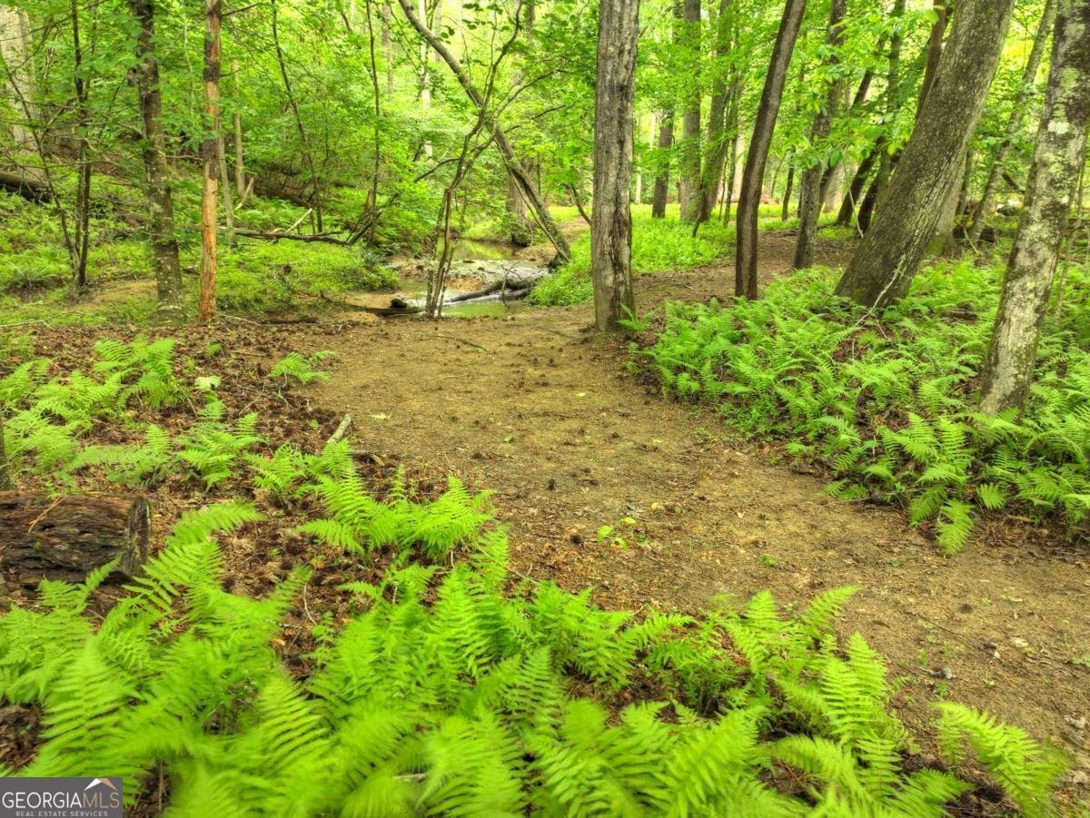 241 Dunn Mill Creek Road Blue Ridge - 72