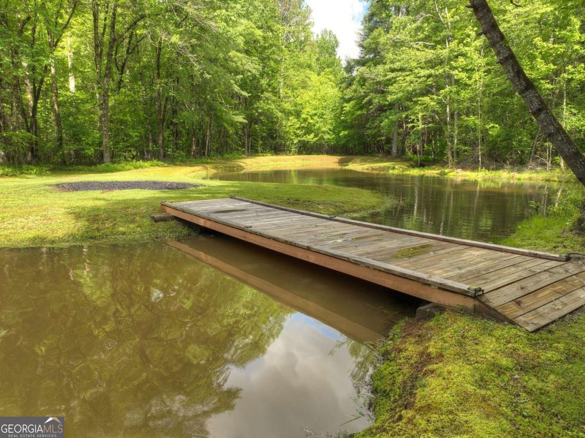 241 Dunn Mill Creek Road Blue Ridge - 75