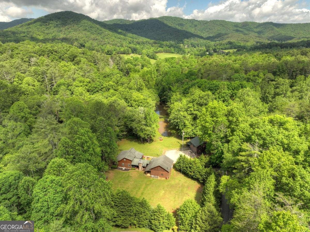 241 Dunn Mill Creek Road Blue Ridge - 76