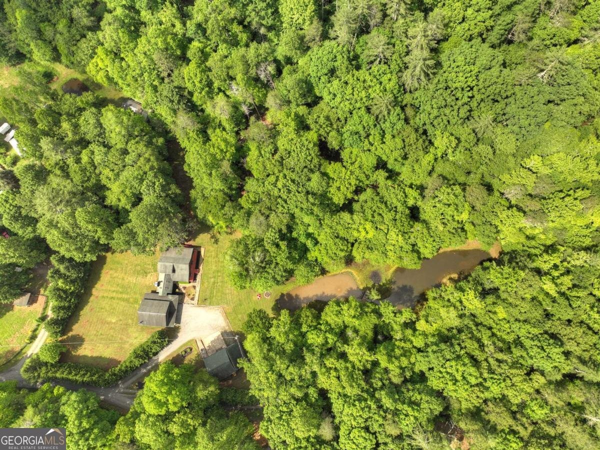 241 Dunn Mill Creek Road Blue Ridge - 77