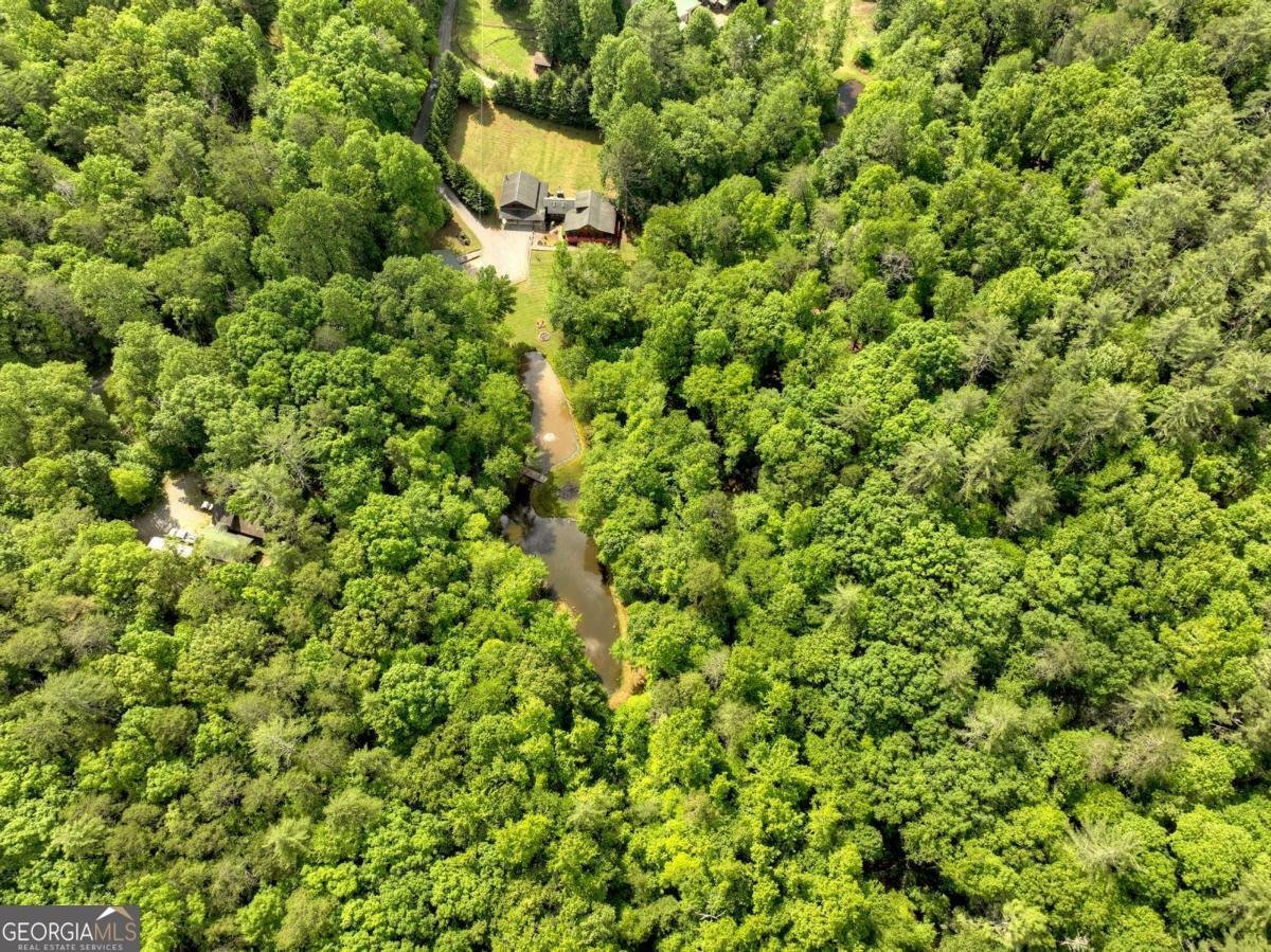 241 Dunn Mill Creek Road Blue Ridge - 78