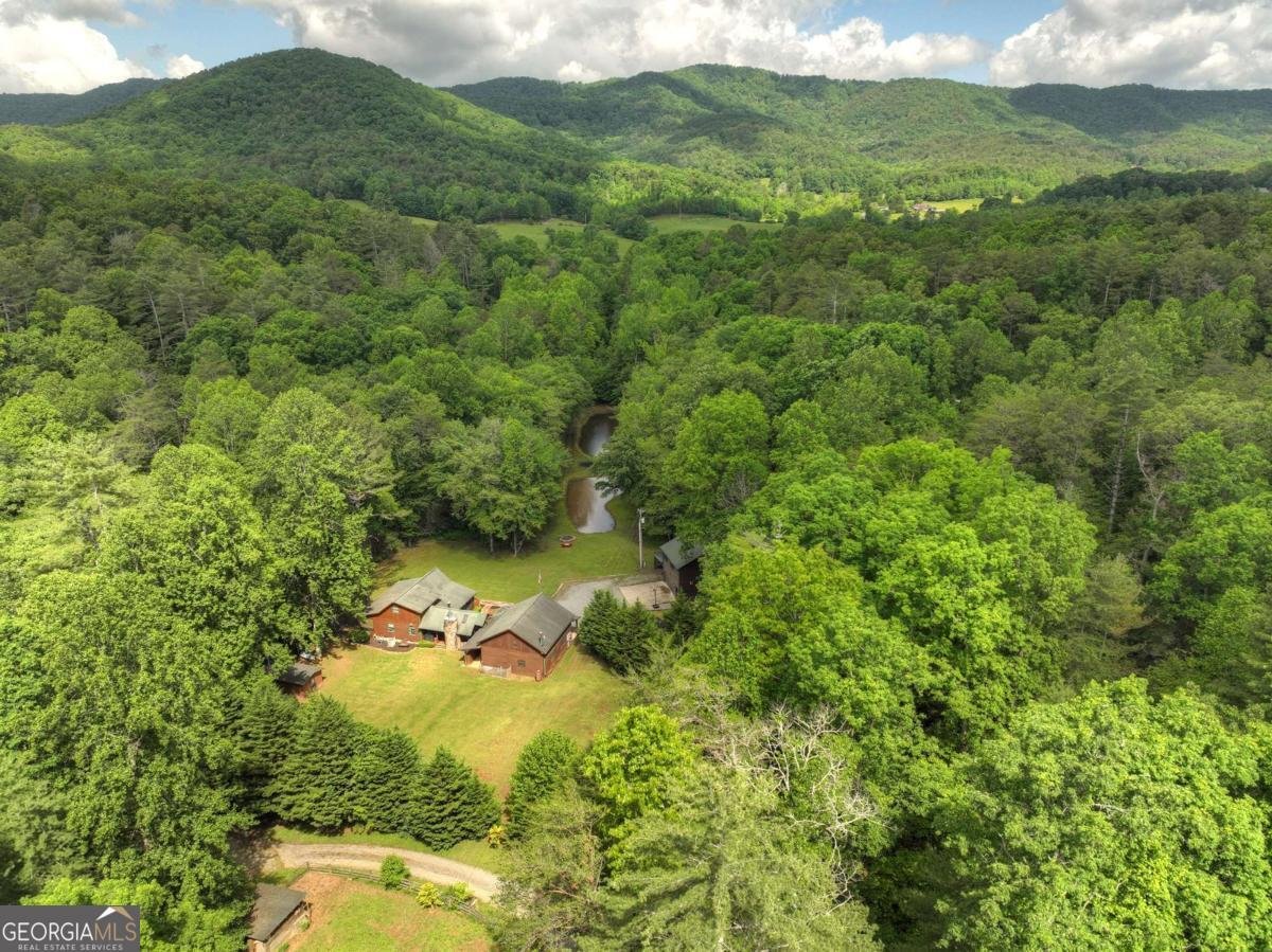 241 Dunn Mill Creek Road Blue Ridge - 79