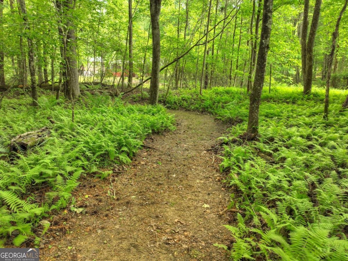 241 Dunn Mill Creek Road Blue Ridge - 81