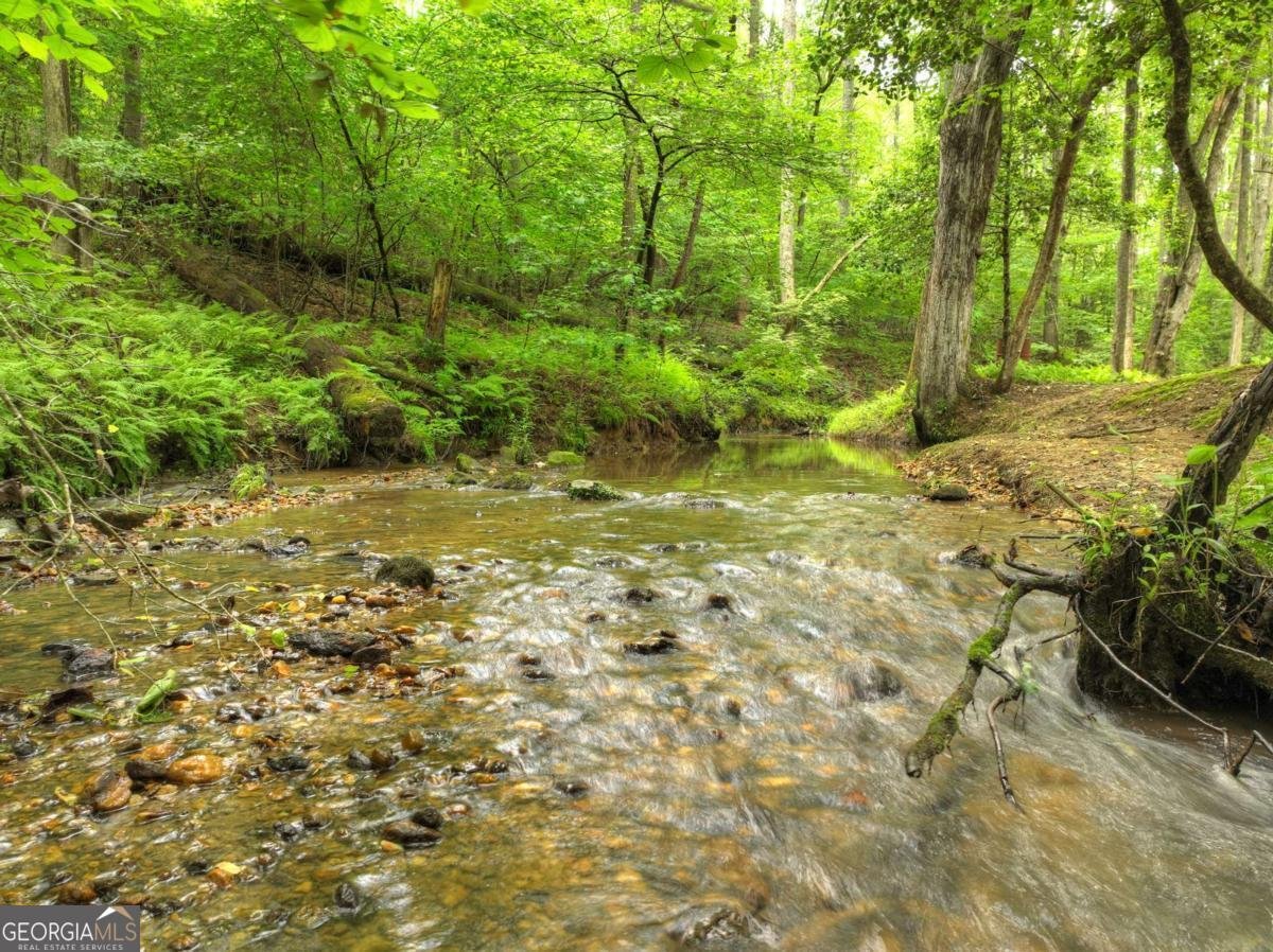 241 Dunn Mill Creek Road Blue Ridge - 82
