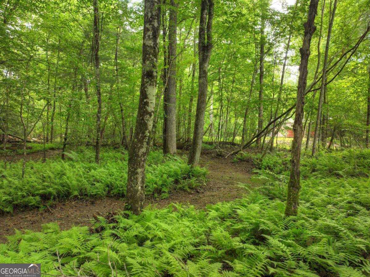 241 Dunn Mill Creek Road Blue Ridge - 83