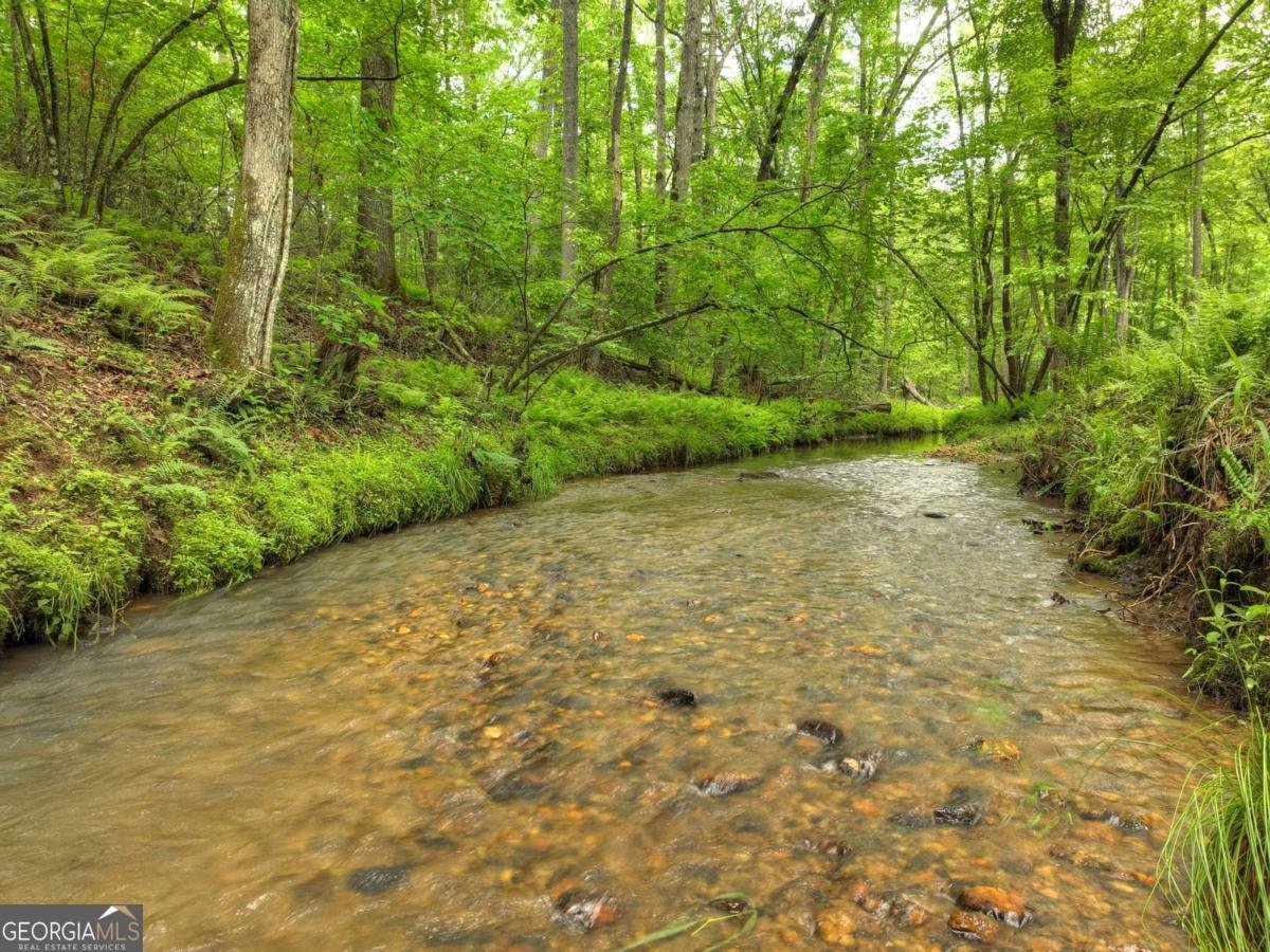 241 Dunn Mill Creek Road Blue Ridge - 84