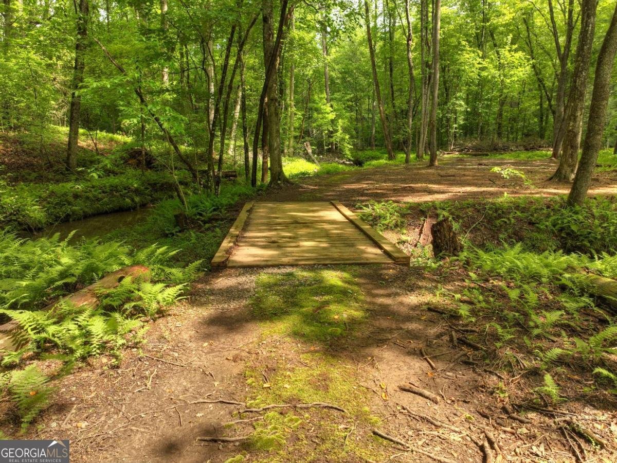 241 Dunn Mill Creek Road Blue Ridge - 85
