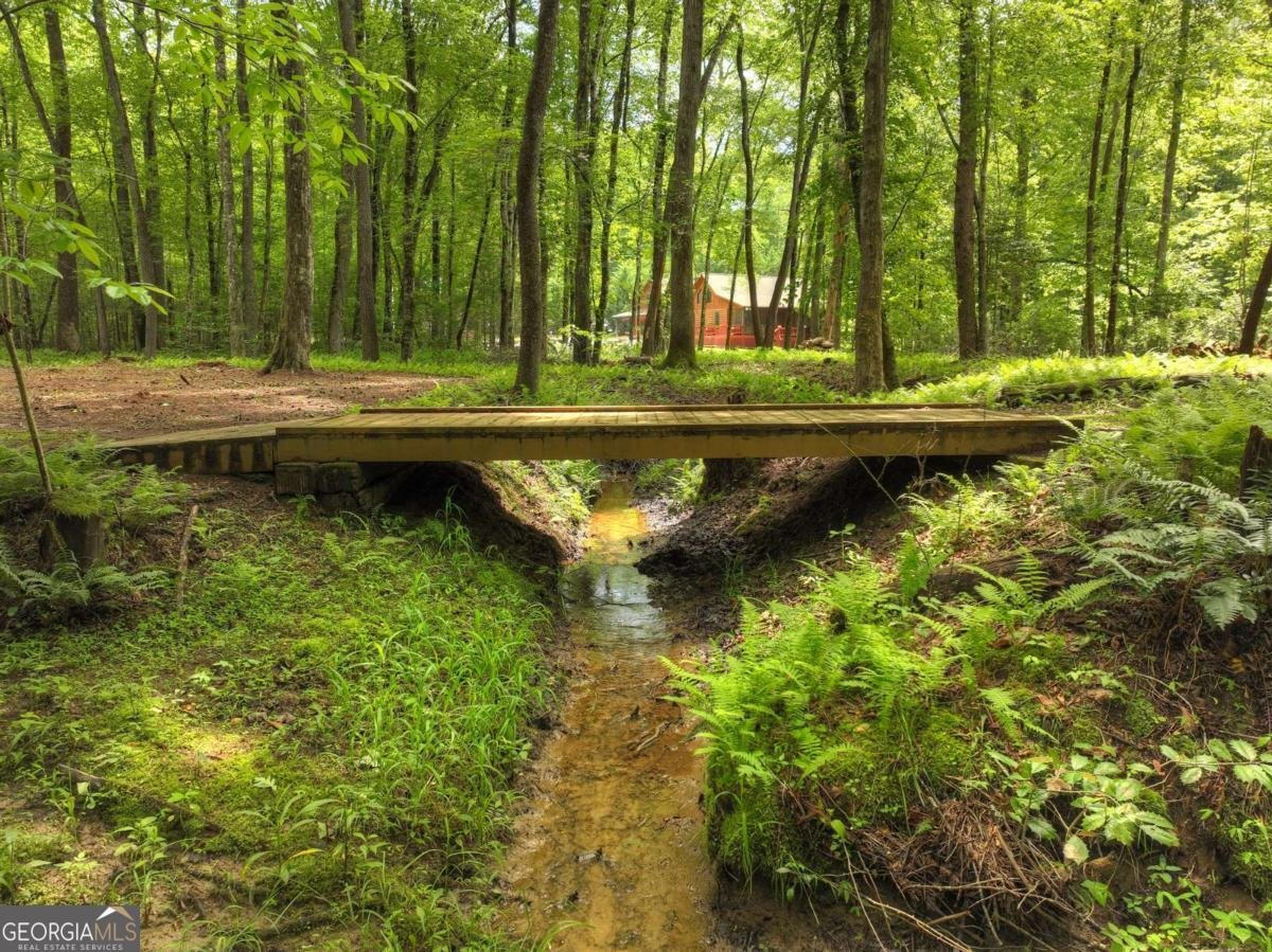 241 Dunn Mill Creek Road Blue Ridge - 86