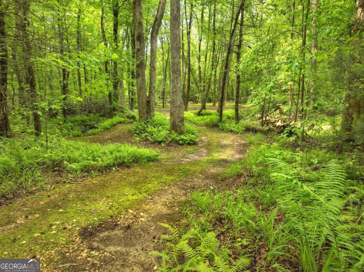 241 Dunn Mill Creek Road Blue Ridge - 87