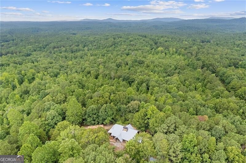 1355 White Road White - 82