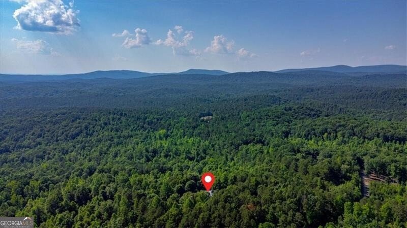 1355 White Road White - 86