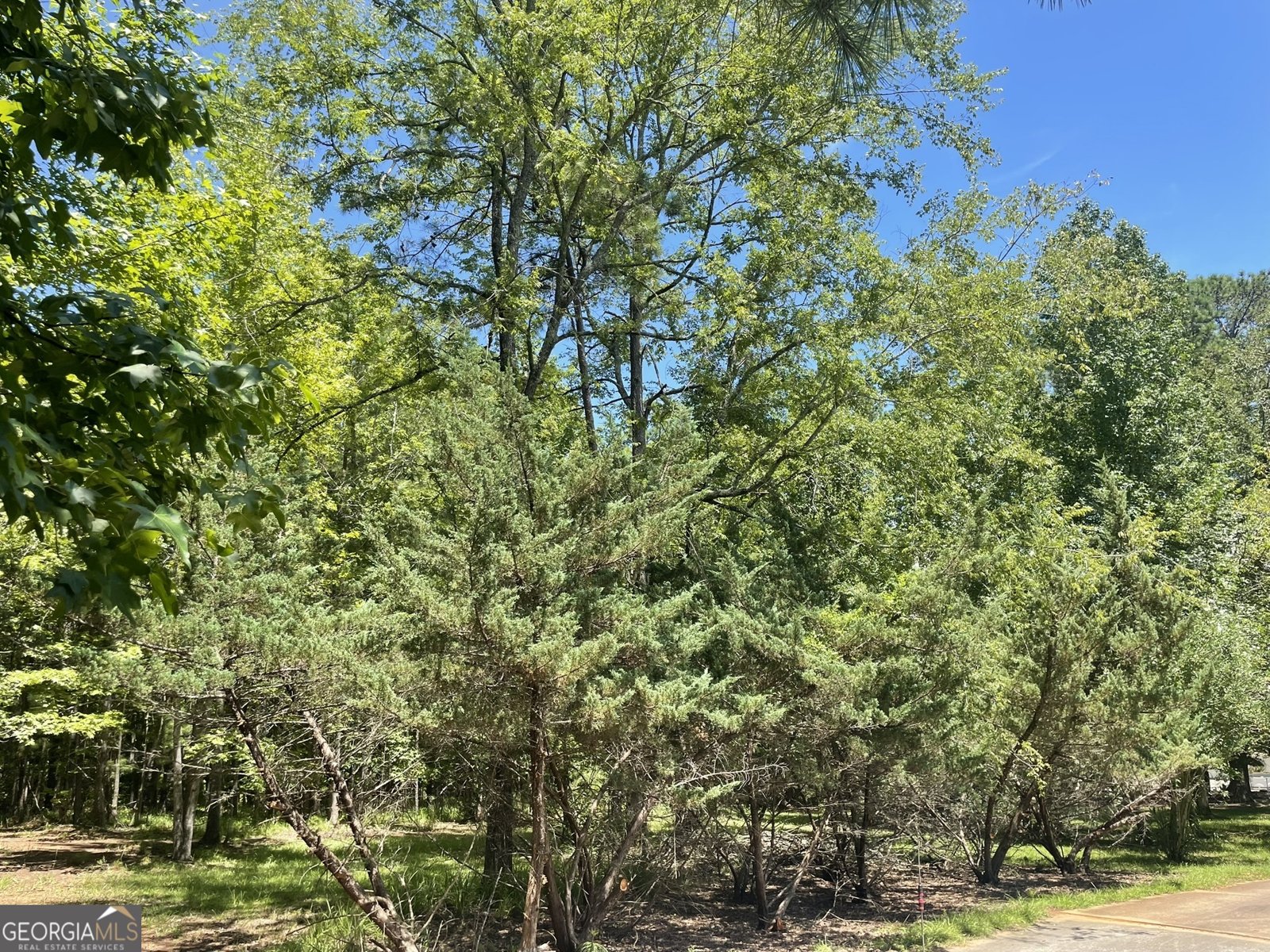 108 Regina Drive Milledgeville - 21
