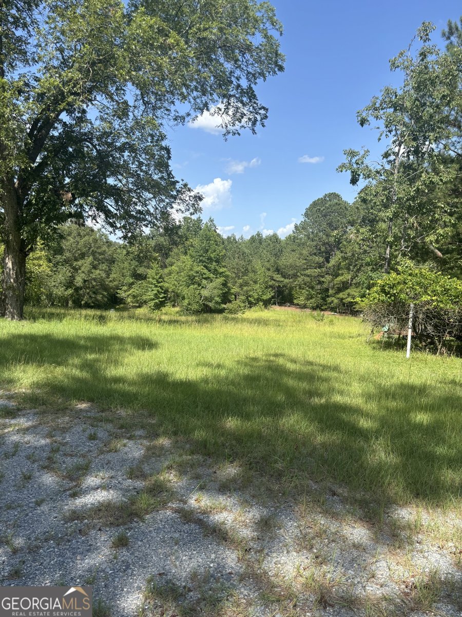 375 Harmony Church Road Sandersville - 9