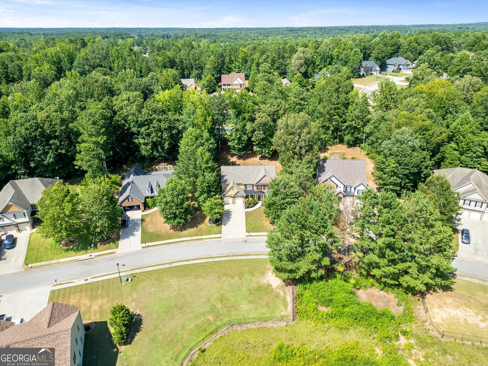 165 Tudor Way Senoia - 4
