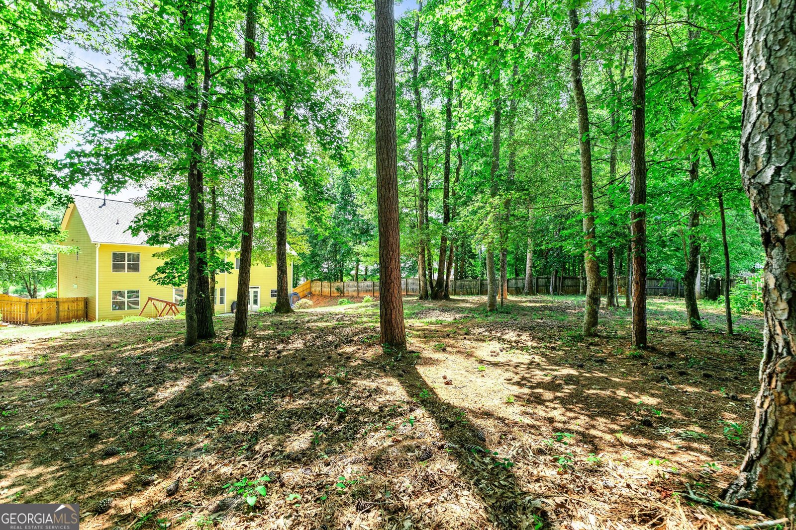 165 Tudor Way Senoia - 50