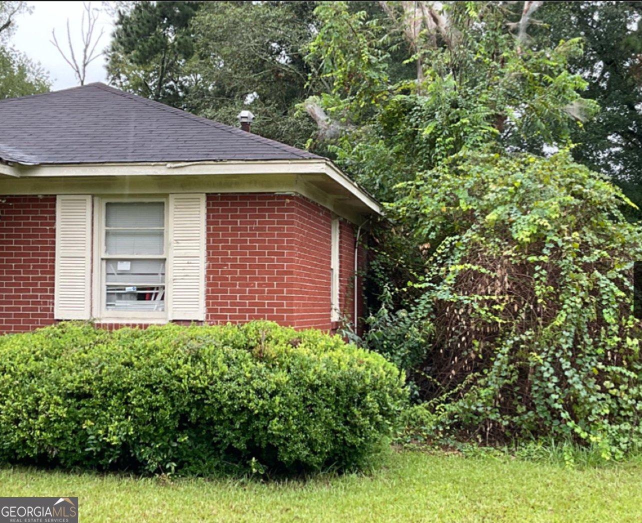 306 Tremont Avenue Albany - 4
