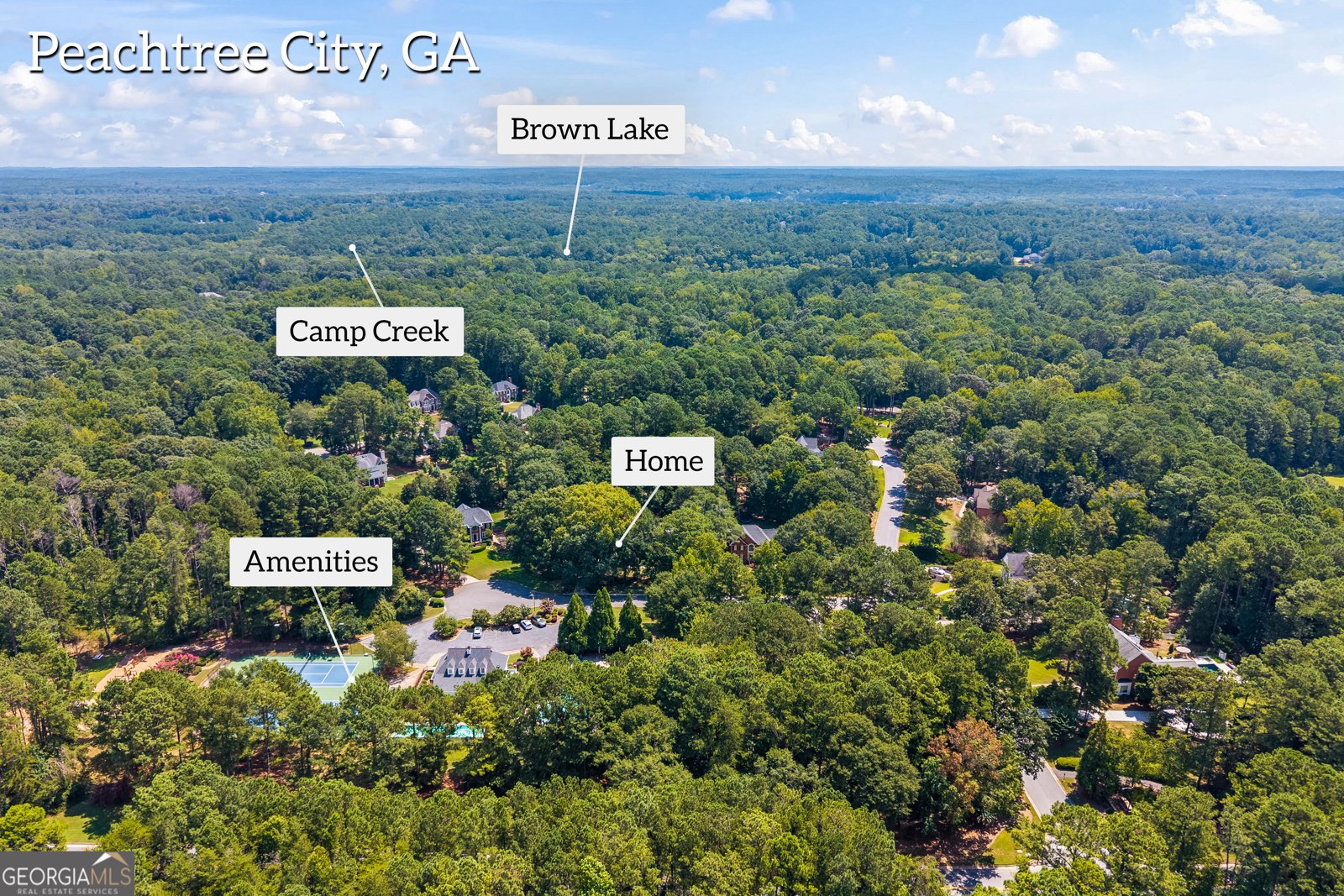 302 Oak Lawn Court Peachtree City - 81