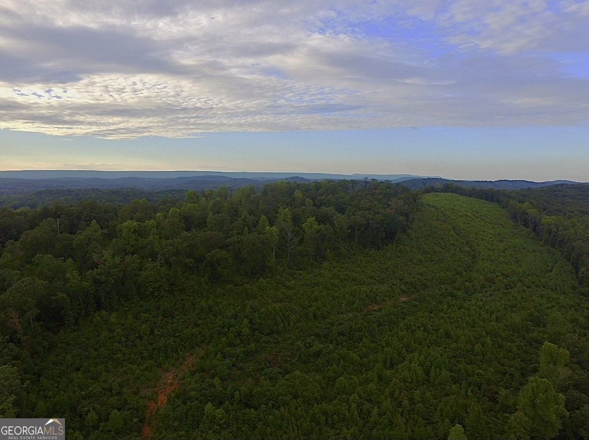 2570 Highway 114 Summerville - 17