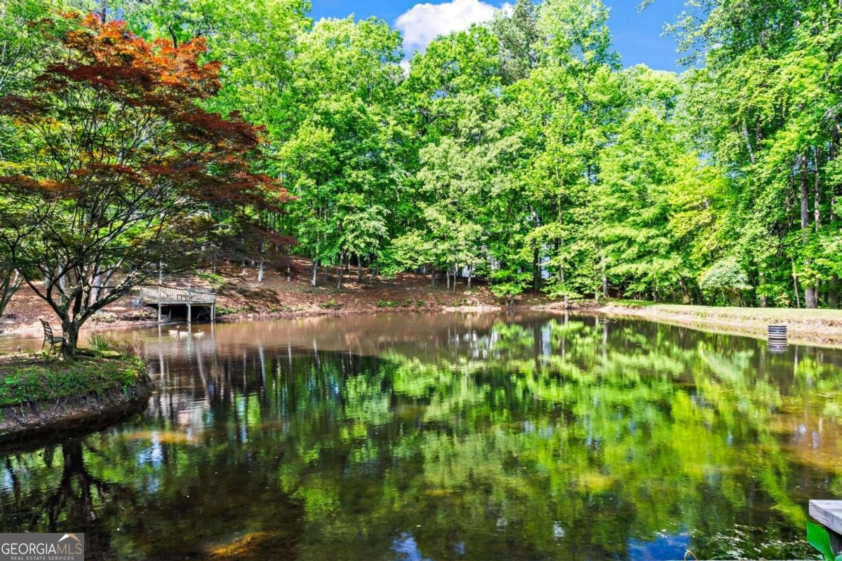 3863 Dundee Drive Roswell - 4