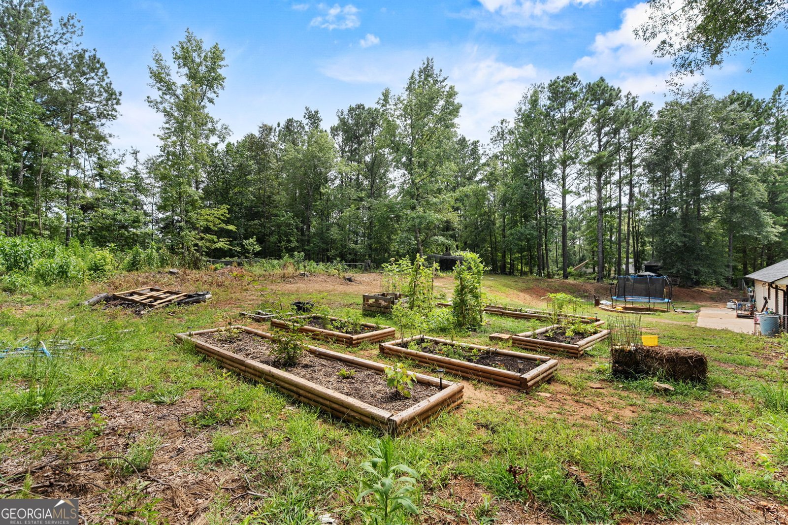 303 Wolf Creek Place Locust Grove - 23