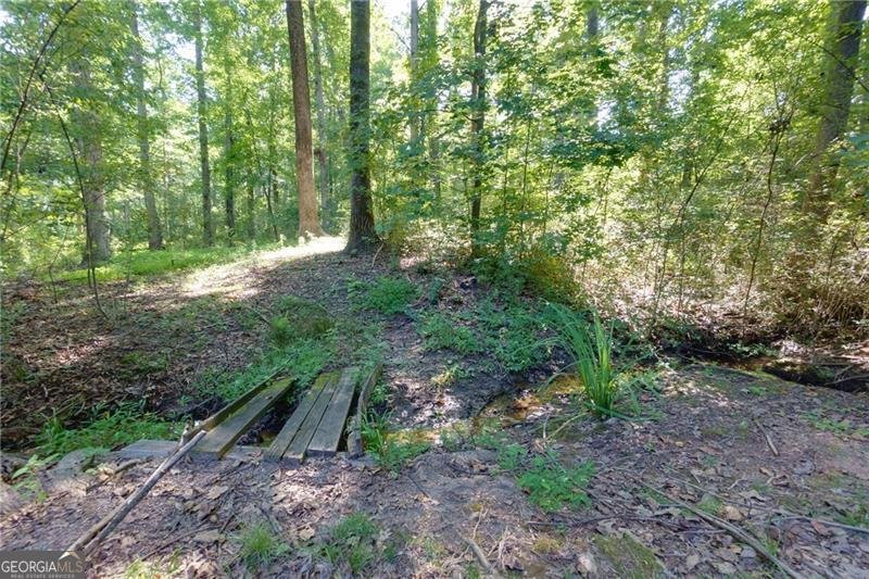 2687 BLACK FOX Buford - 39