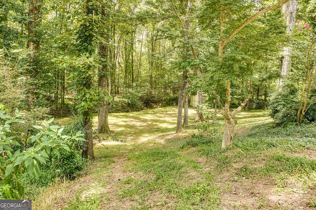 202 Pinnacle Court Peachtree City - 13