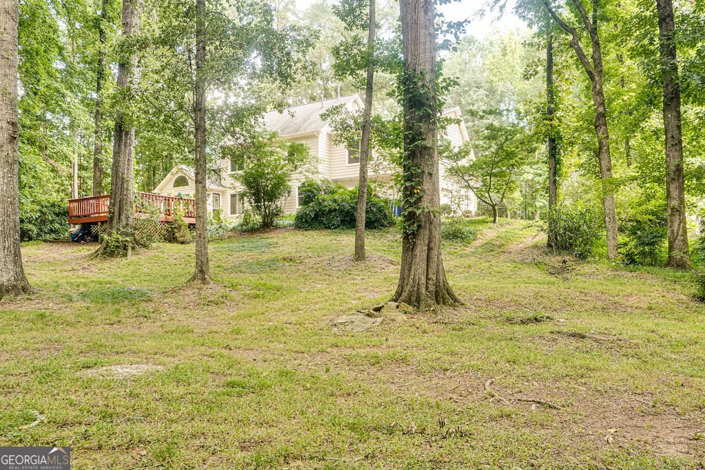 202 Pinnacle Court Peachtree City - 15