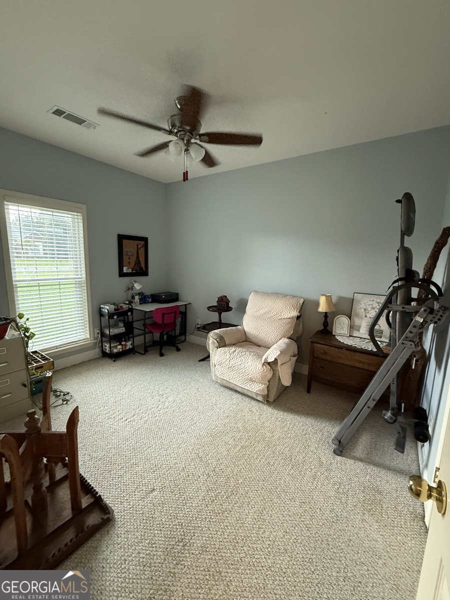 304 Dixieland Drive Byron - 21
