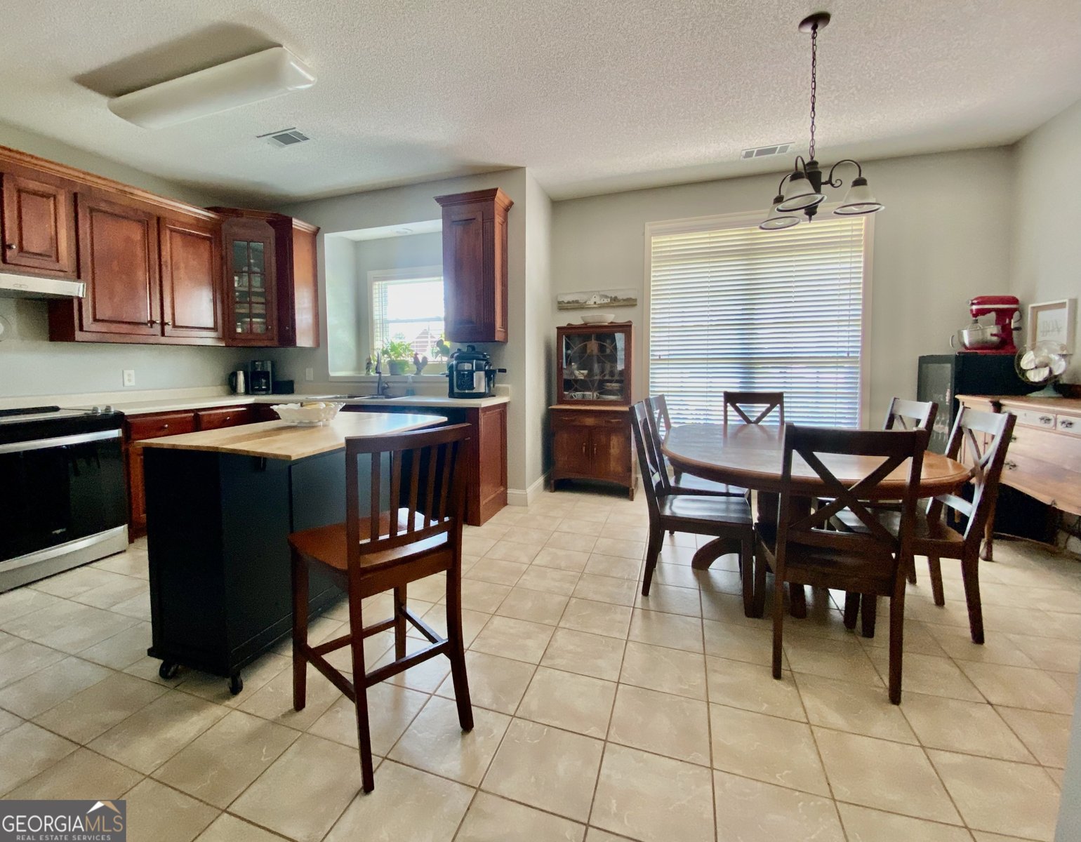 304 Dixieland Drive Byron - 9